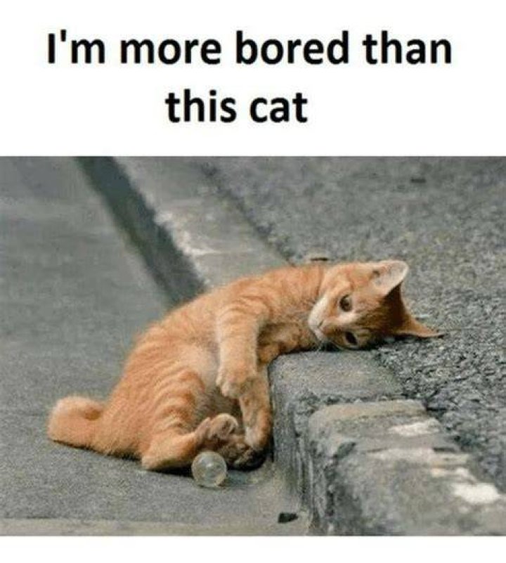 15 Amusing Bored Memes That Are Guaranteed To Entertain You
