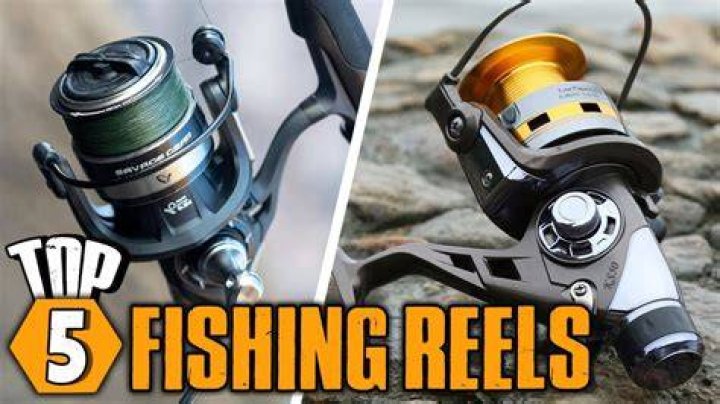 5 of the Best Fishing Quotes of All Time Spin Fishing Fishing Quotes