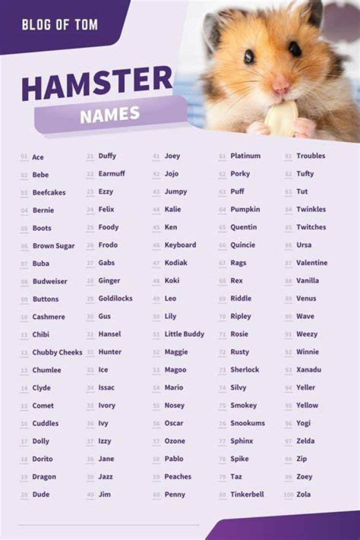 999+ Hamster Names (BEST Boy & Girl Ideas In 2024)