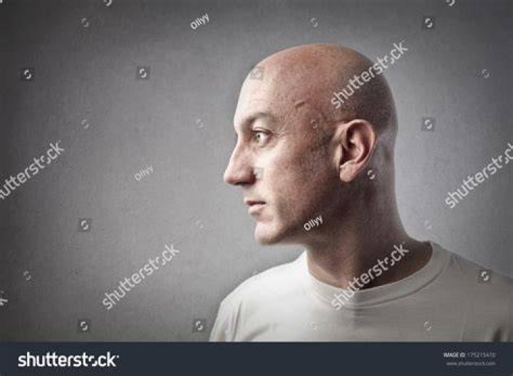A bald man Royalty Free Vector Image VectorStock