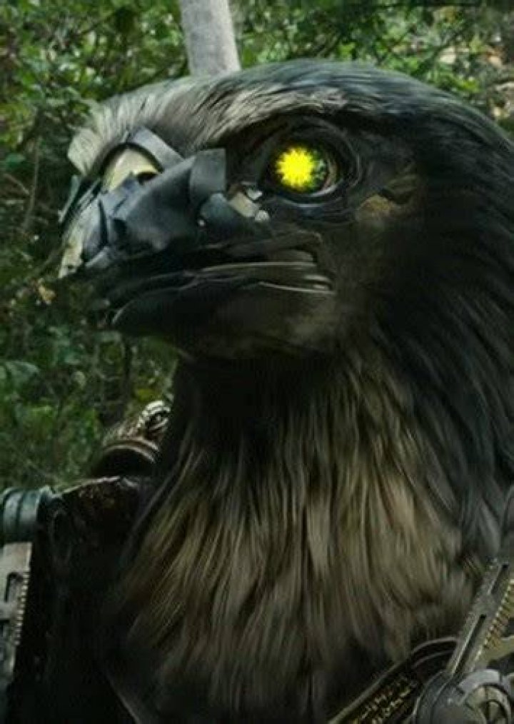 Airazor Fan Casting for Transformers: Rise of the Beasts (2023) | myCast
