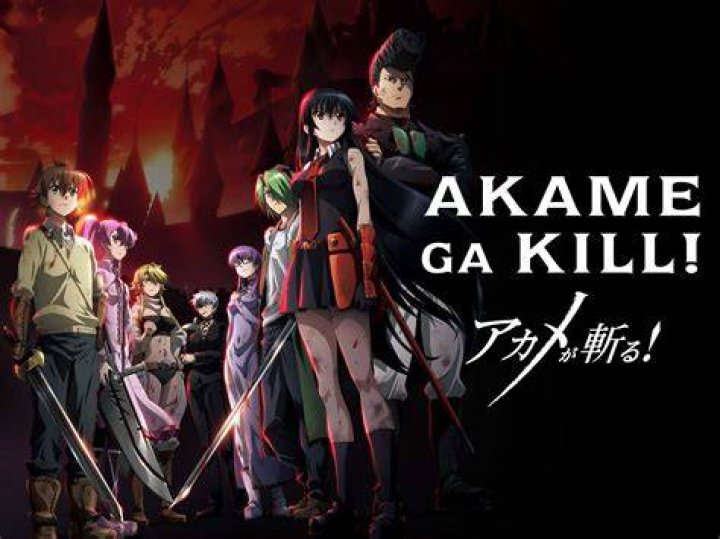 Akame Ga Kill.