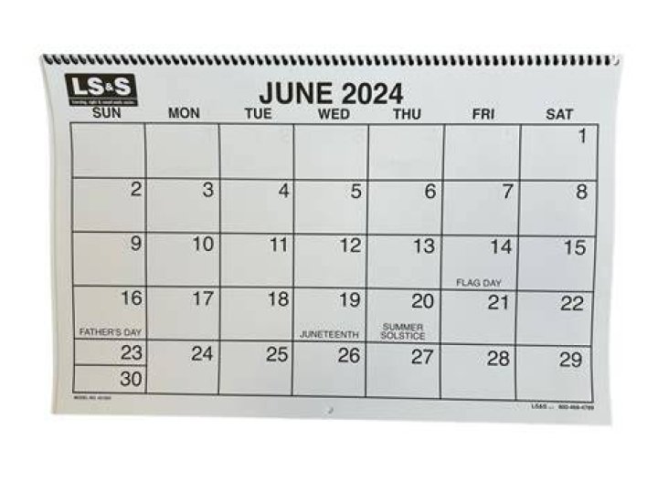 Babes 2024 Wall Calendar