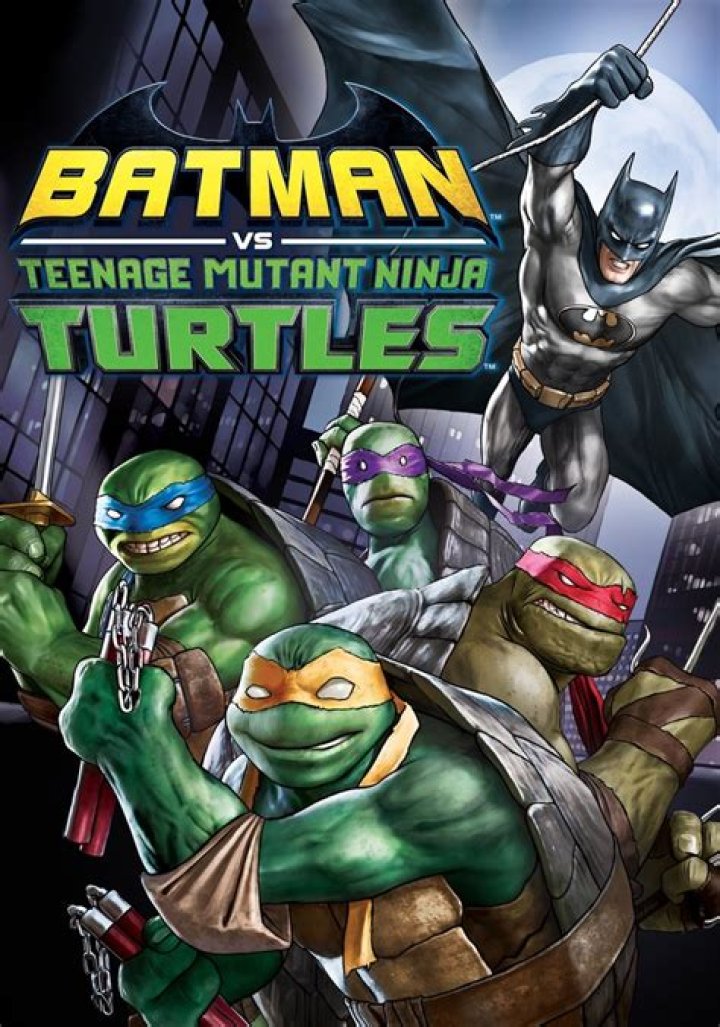 Batman VS Teenage Mutant Ninja Turtles Animated Film Alternate Fan Cast