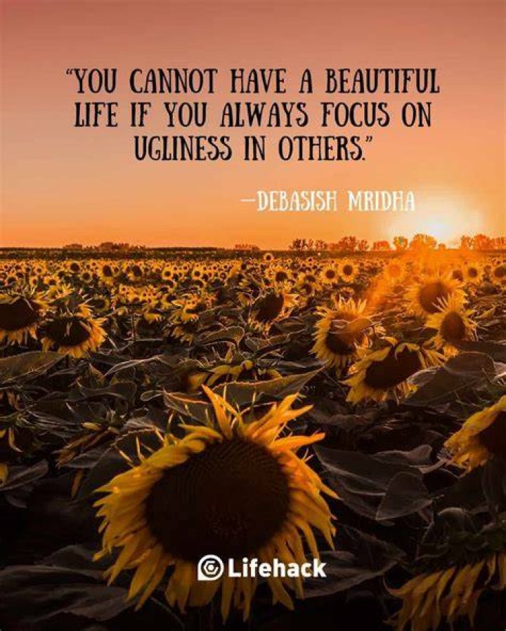 Beautiful Quotes: Inspiring Words To Illuminate Your Life