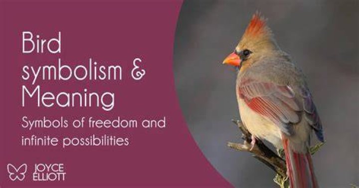 Bird symbolism & Meaning 26 Symbolic Meanings Explained Joyce Elliott