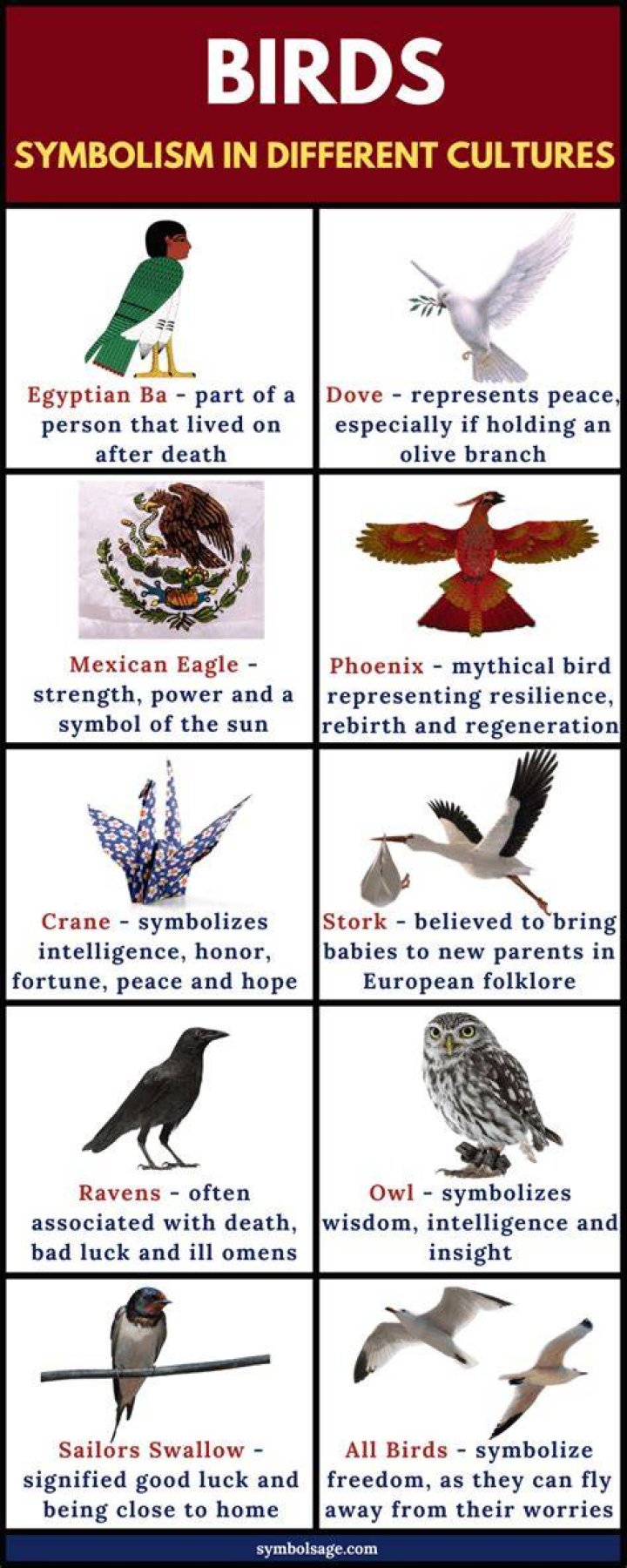 Birds Symbolism and Myths Through the Ages Symbol Sage