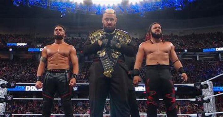Bloodline hero Fighter: tag team