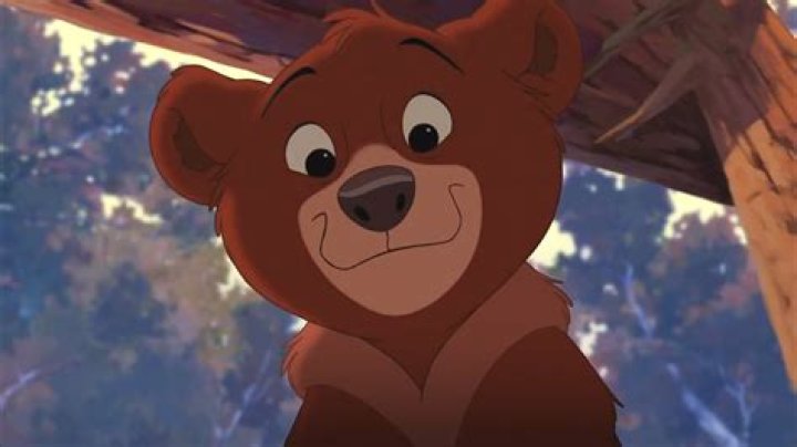Brother Bear: Koda in the snow