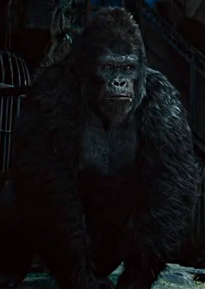 Buck (Planet of the Apes) Fan Casting