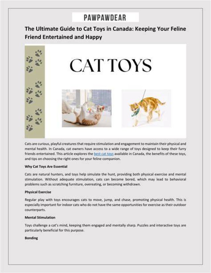 Cat Toys For Bored Cats: The Ultimate Guide To Keeping Your Feline Friends Entertained