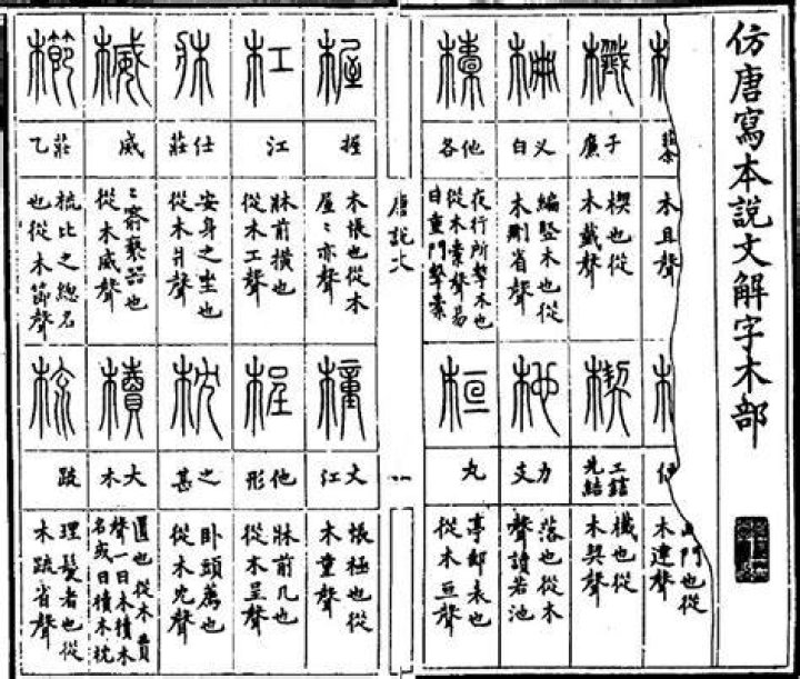 China Budaya Tionghoa Shuowen Jiezi Chinese dragon, Chinese surname