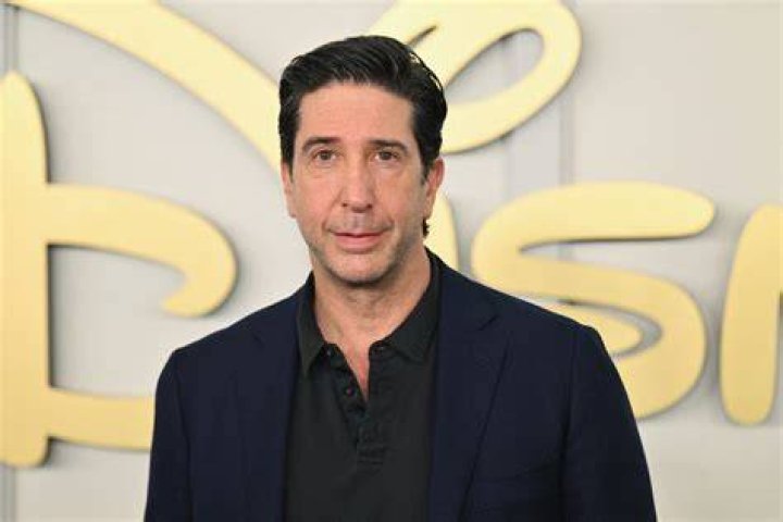 David Schwimmer as Bookworm (voice) in Toy Story (2005-2029)