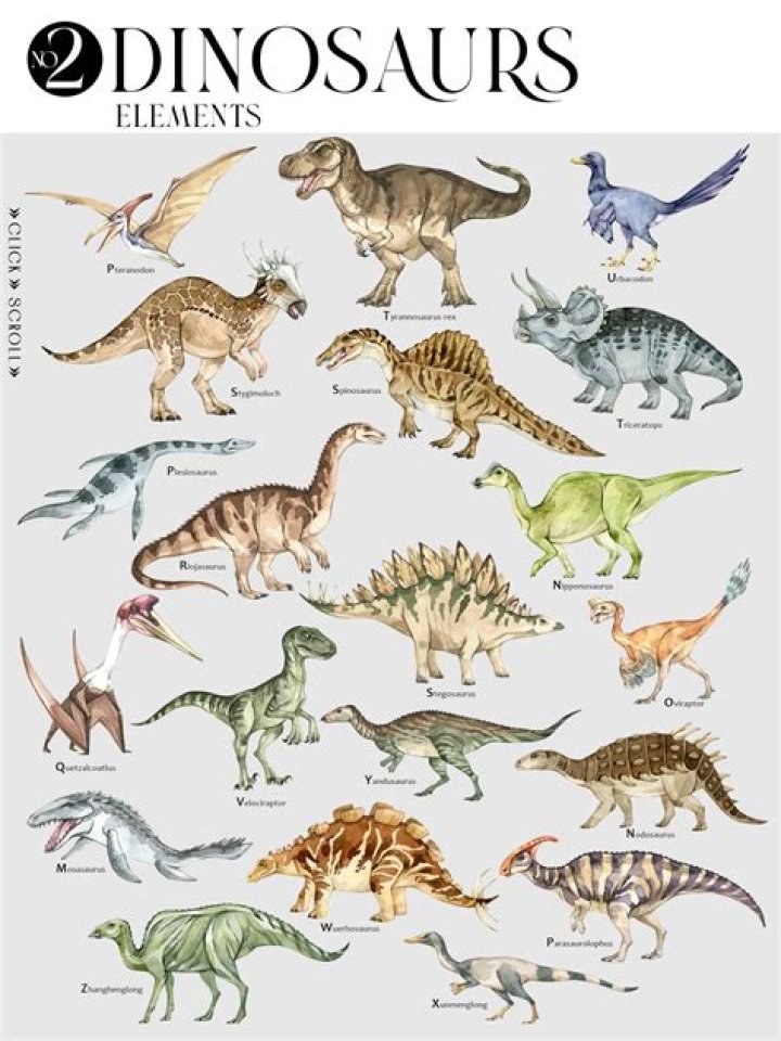 Dinosauria