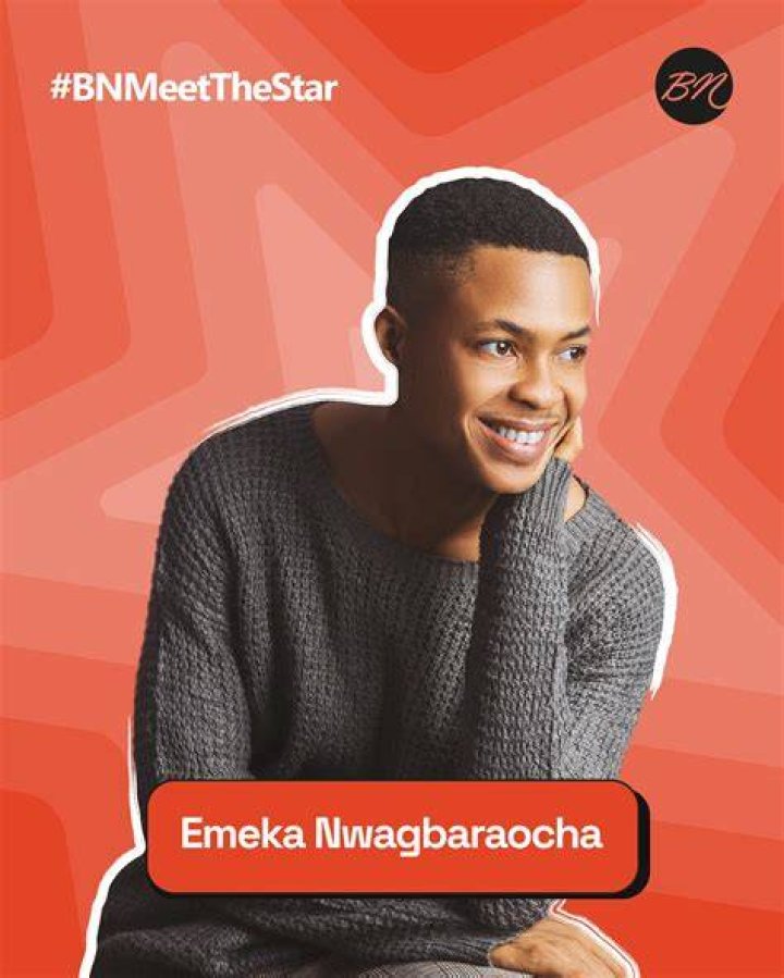 Emeka Nwagbaraocha: The Rise Of A Modern Innovator