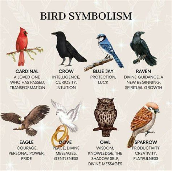 Exploring Bird Symbolism: Meaning And Significance Across Cultures