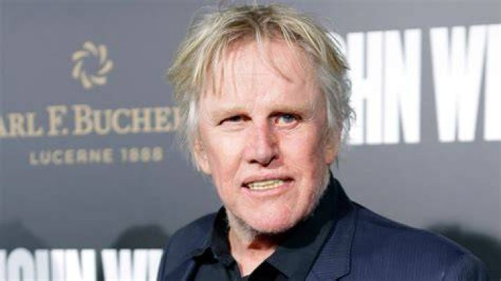 Exploring The Life And Career Of Mike Busey: A Unique American Personality