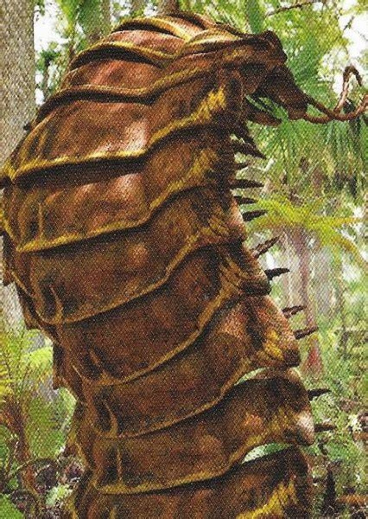 Fan Casting Arthropleura as Prehistoric Creatures in Lost Worlds, One Planet on myCast