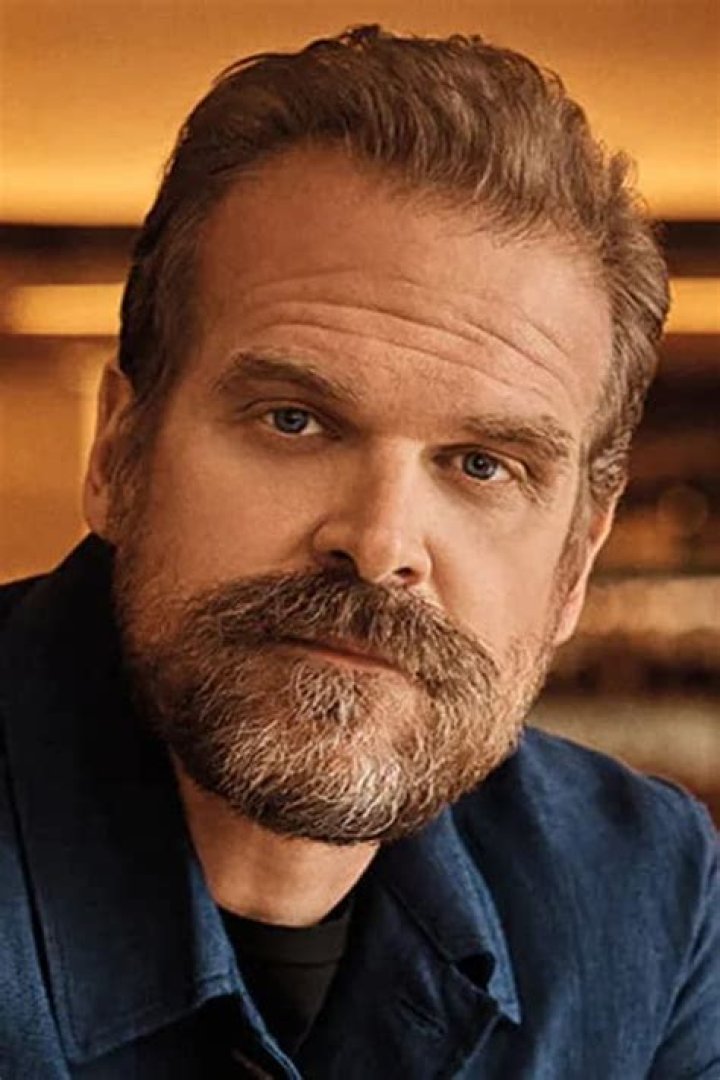 Fan Casting David Harbour as Blob in Netflix The Wolverine on myCast