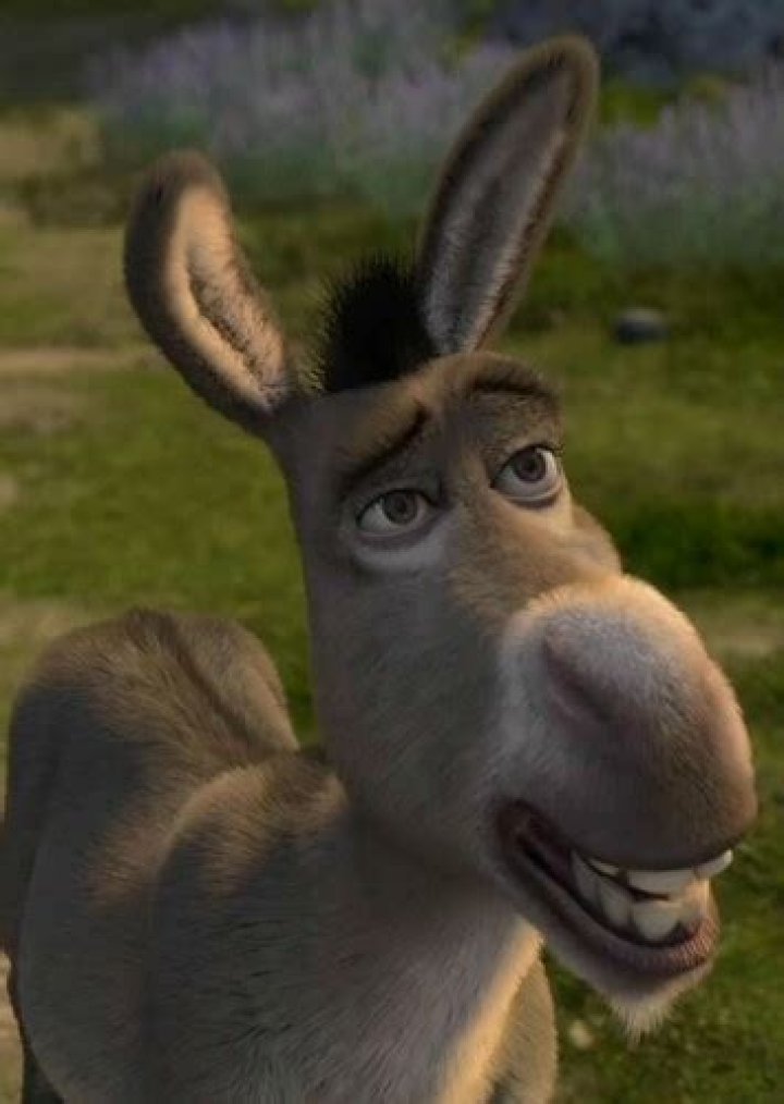 Fan Casting Eddie Murphy as Donkey in Shrek (2001) on myCast