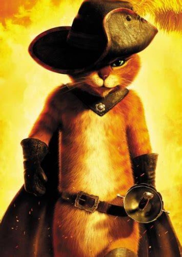 Fan Casting Eugenio Derbez as Voice of Puss in Boots in Shrek (Live Action) on myCast