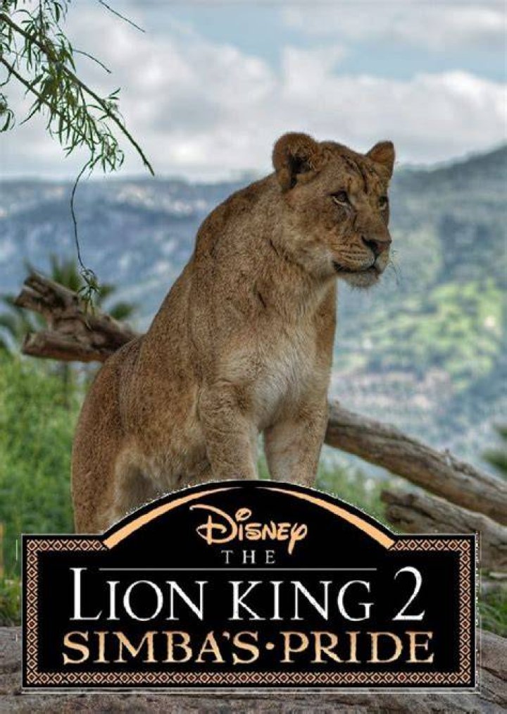 Fan Casting JD McCrary as Simba in Lion King 2 (Live-Action) (2029) on myCast