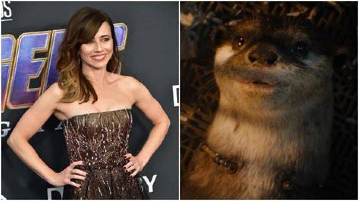 Fan Casting Linda Cardellini as Lylla in Guardians of the Galaxy Vol. 3 on myCast