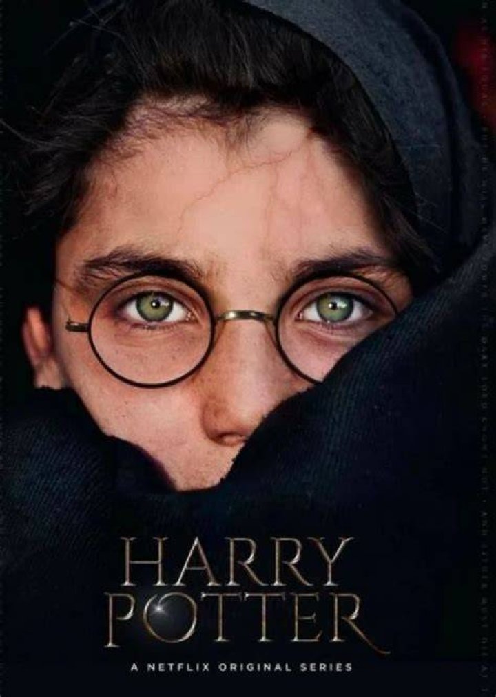 Fan Casting Timothée Chalamet as Tom Riddle in Harry Potter (Netflix show) on myCast