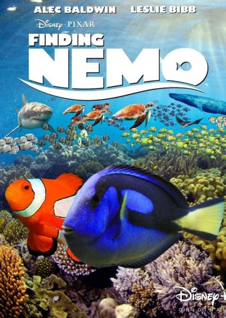 Fan Casting Tom Hanks as Marlin in Finding Nemo (2023) on myCast