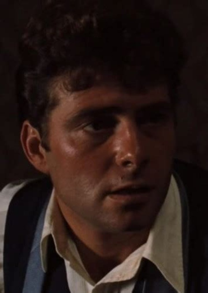 Fan Casting Vincent D'Onofrio as Carlo Rizzi in The Godfather (90s) on myCast