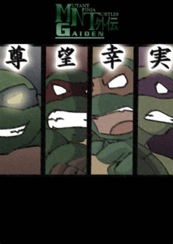 Fan Casting Warner Bros. Pictures and Nickelodeon Movies as Original Network of Mutant Ninja Turtles Gaiden on myCast