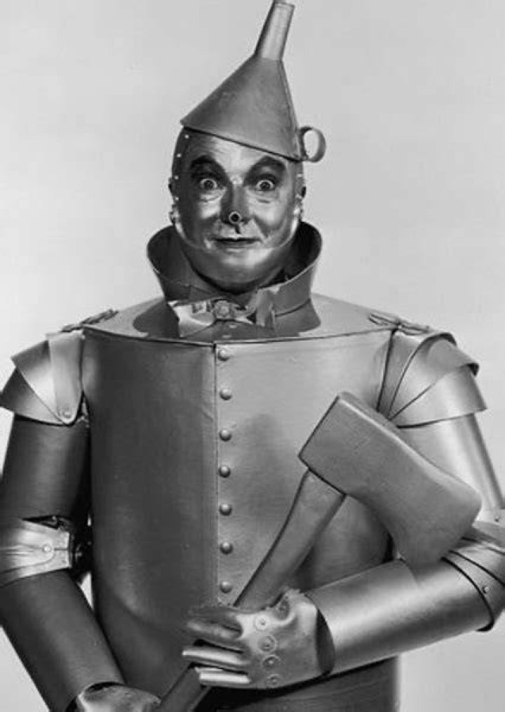 Fan Casting Will Smith as Hickory/tin Woodman in The wizard of oz on myCast