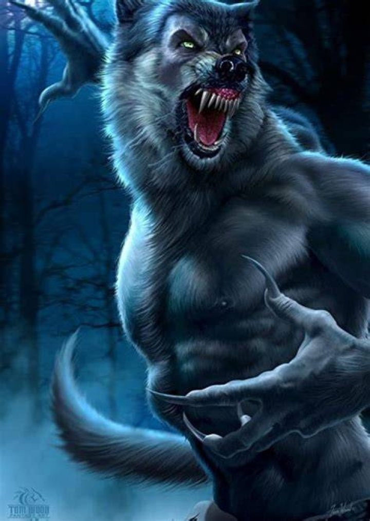 Find an Actor to Play Tim in Wolf king broken trust on myCast