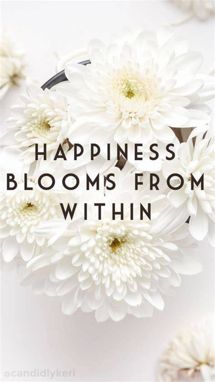 Flower Quote iPhone Wallpapers Top Free Flower Quote iPhone
