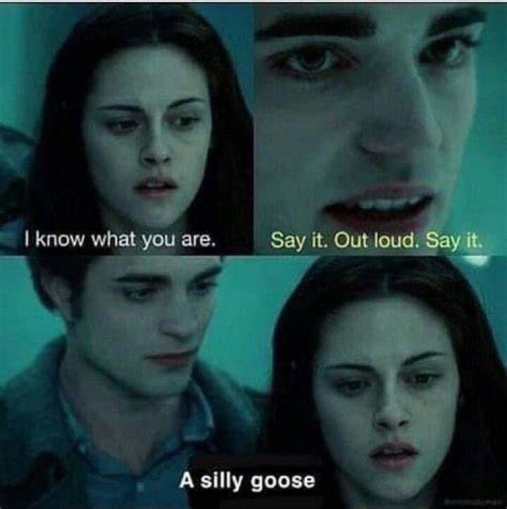 Funny Twilight Quotes Funny Quotes