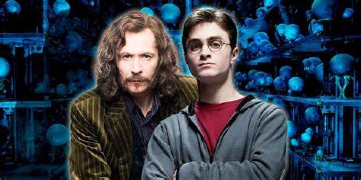 Harry Potter and the Mysteries of Hogwarts (2023-2030)