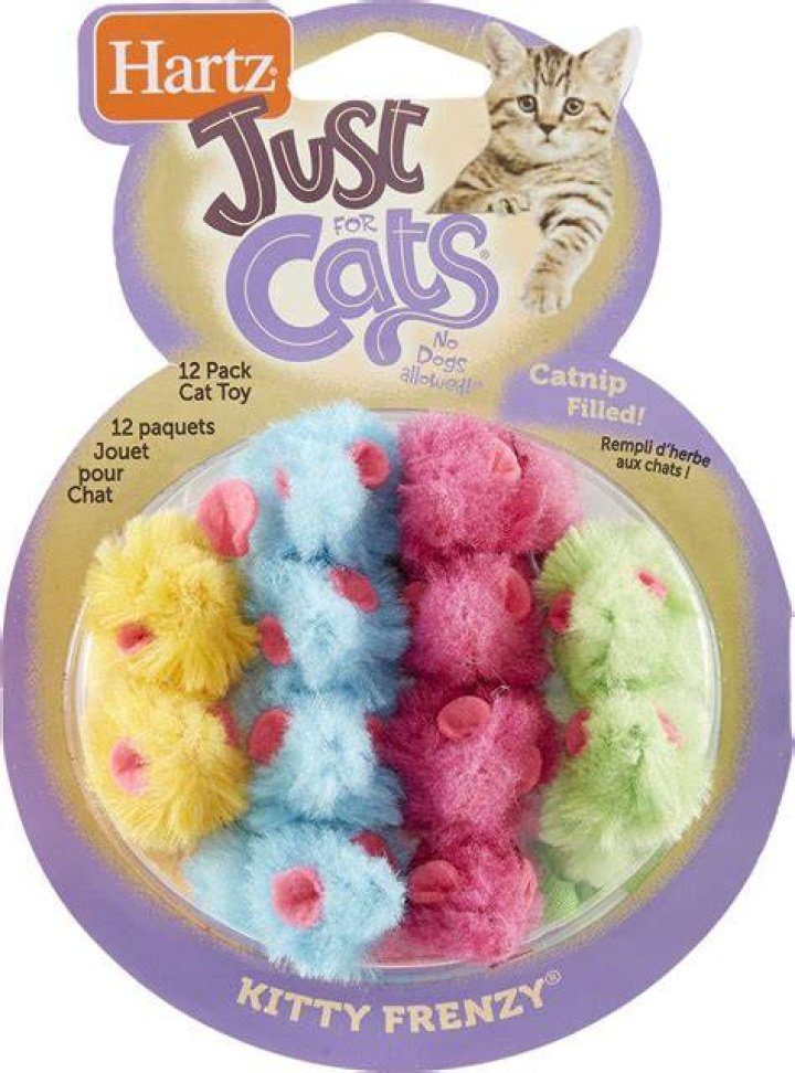 Hartz Just For Cats Kitty Frenzy Cat Toy *** Be sure to check out this