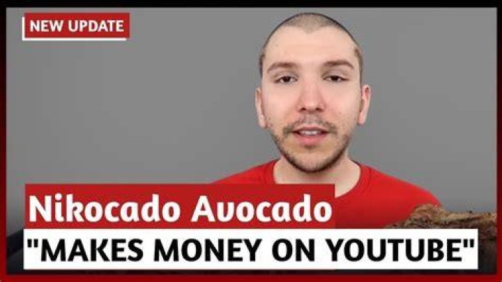 How Much Money Nikocado Avocado Makes On YouTube Net Worth Naibuzz