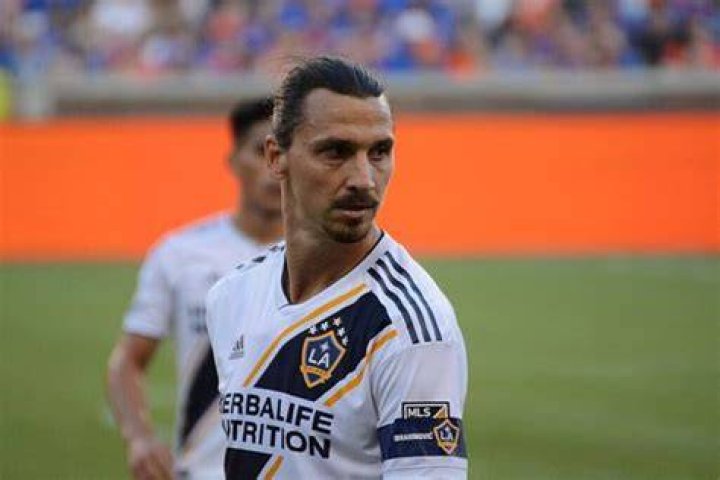 Ibrahimovic Siblings: Exploring The Family Behind The Football Legend