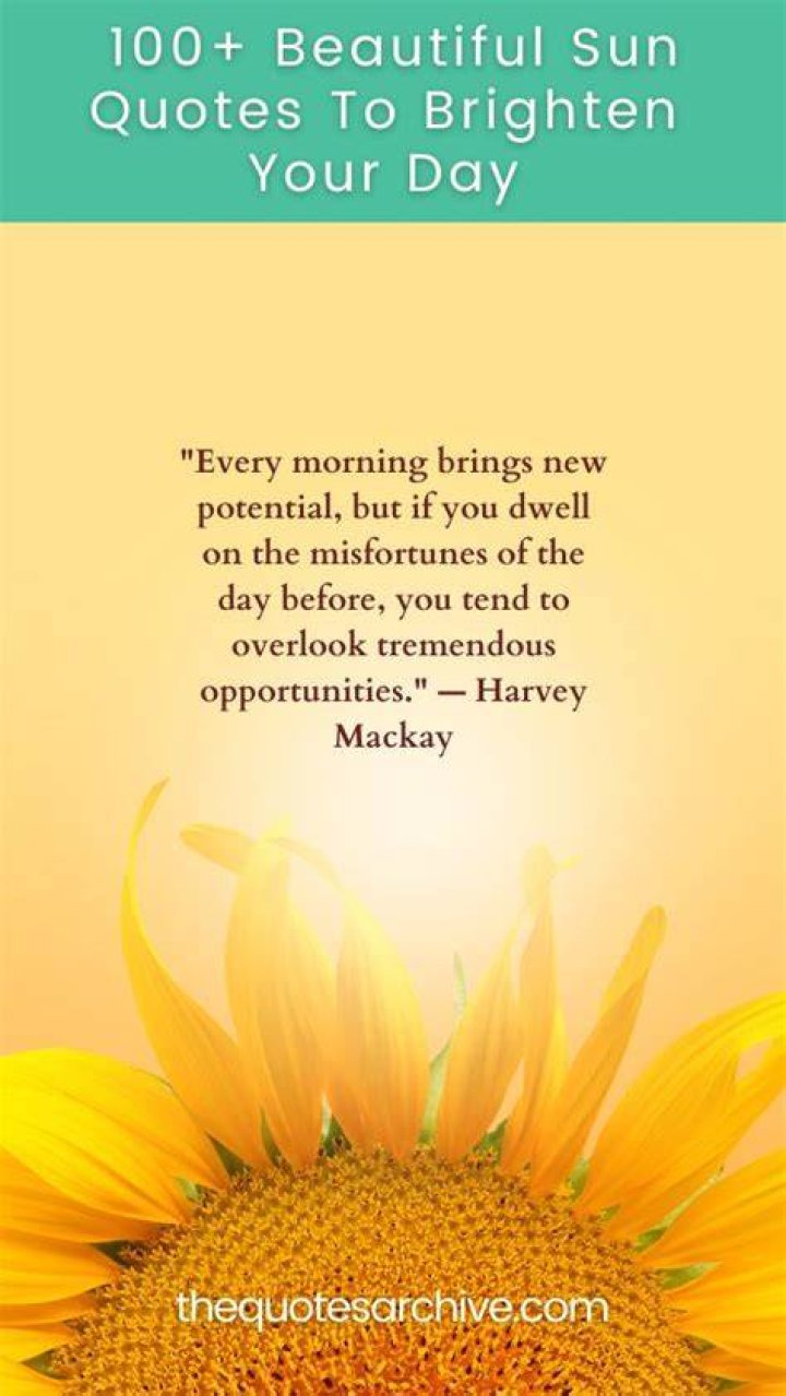 Inspiring Sun Quotes To Brighten Your Day