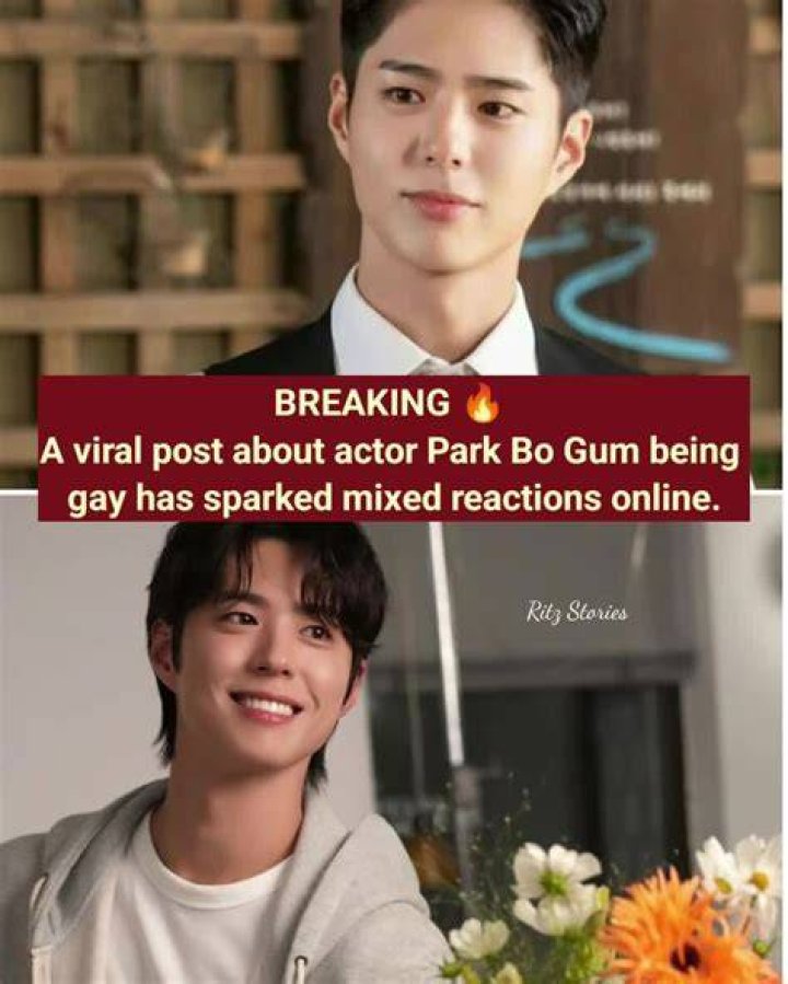 Is Park Bo Gum Gay? A Deep Dive Into The Actor's Personal Life