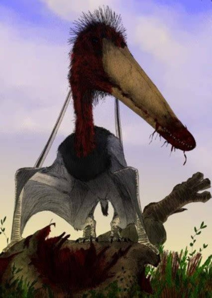 Istiodactylus Fan Casting