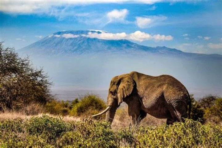 Kenya