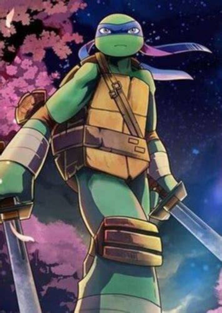 Leonardo Hamato Fan Casting for Teenage mutant ninja turtles for a Japanese Anime | myCast