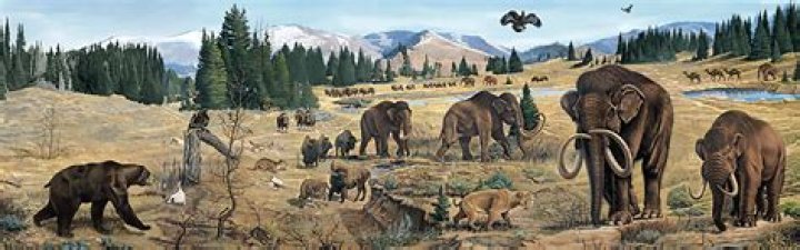 Life in the ice age