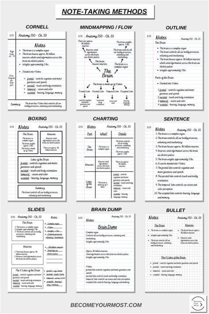 Mastering Notebook Phrases: A Comprehensive Guide For Effective Note-Taking