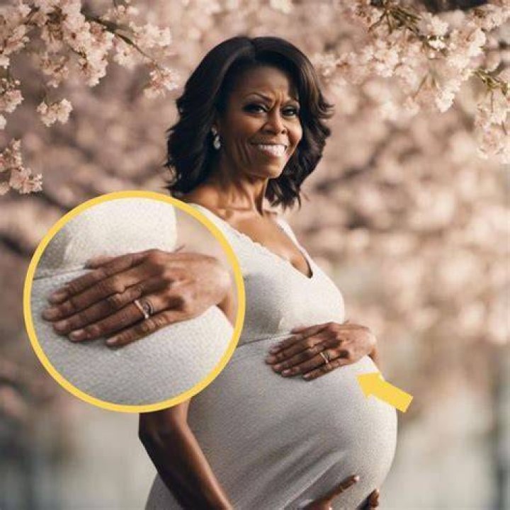 Michelle Obama Pregnant The Truth Behind The Headlines