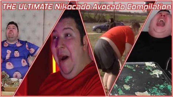 Nicado Avocado: The Ultimate Guide To This Trendy Fruit