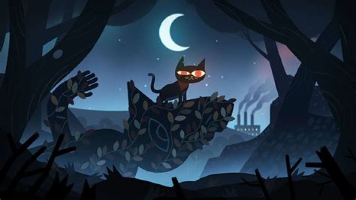 NIGHT IN THE WOODS