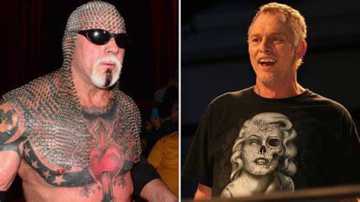 Older Wrestlers Who Let Themselves Go TheSportster